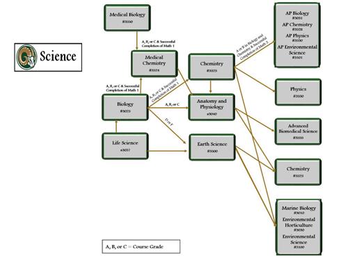 Slide 7 